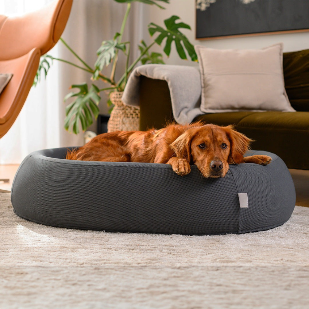 Dog Bed | Orthopaedic Memory Foam, Cooling Gel Technology