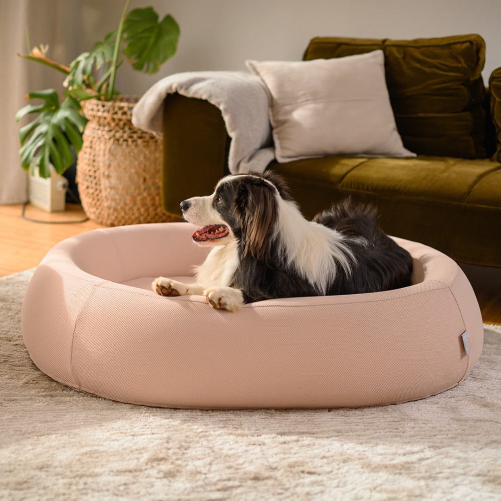 Dog Bed | Orthopaedic Memory Foam, Cooling Gel Technology