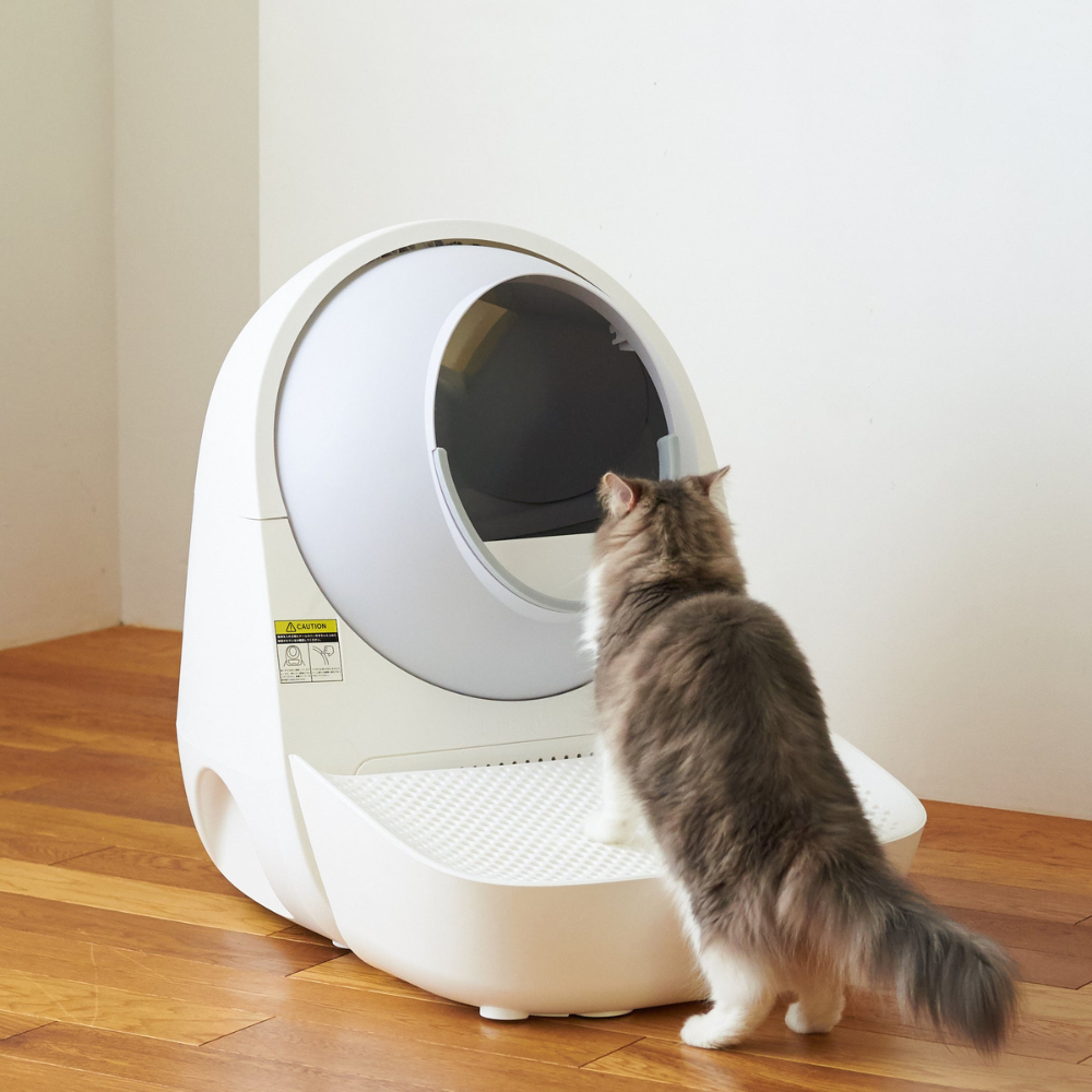 Self-Cleaning Litter Box with Automatic Scooper & Pro-X Ramp Set