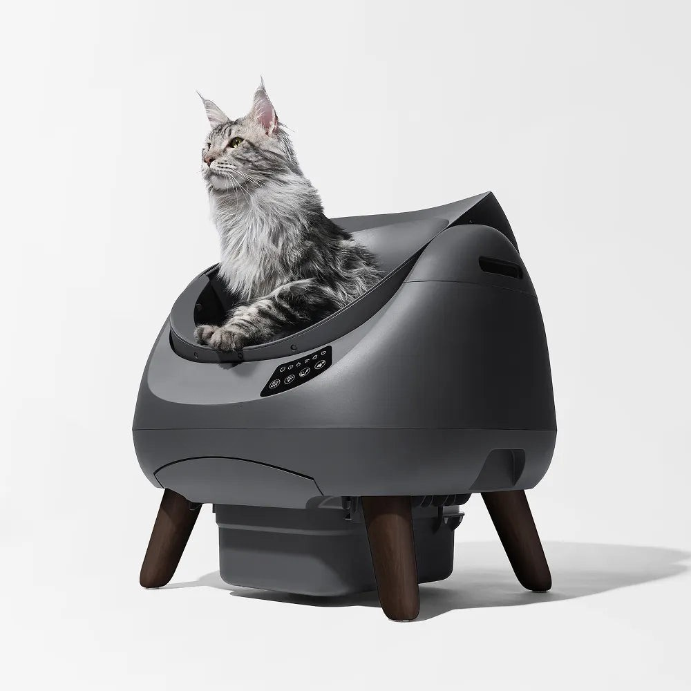 Open-X Self-Cleaning Litter Box | Automatic Open Cat Litter Box