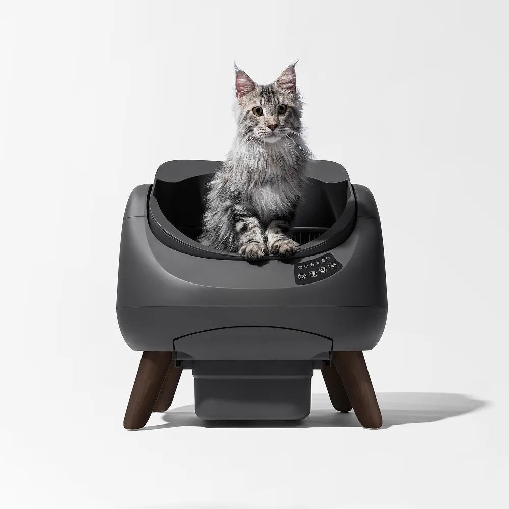 Open-X Self-Cleaning Litter Box | Automatic Open Cat Litter Box