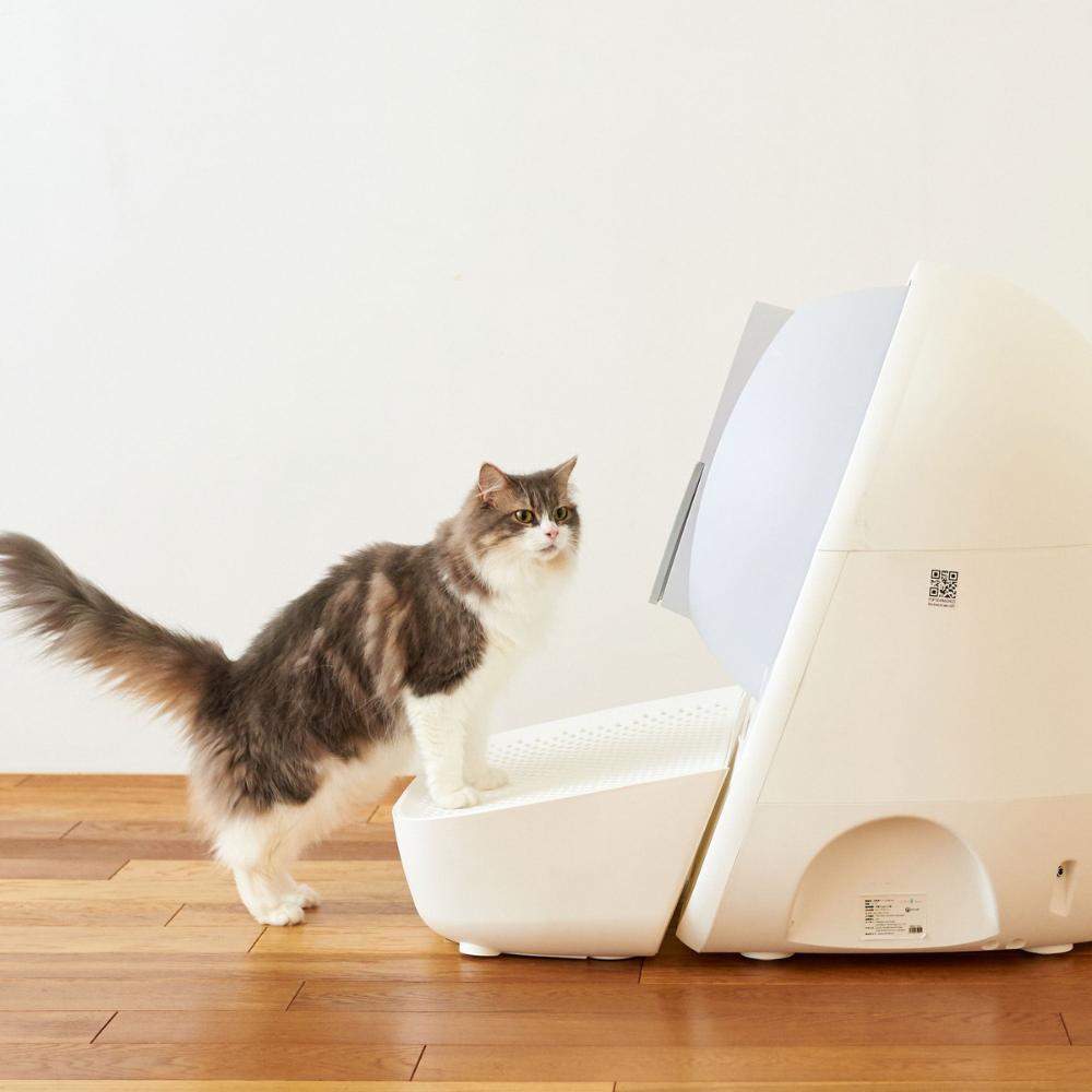 Self-Cleaning Litter Box with Automatic Scooper & Pro-X Ramp Set