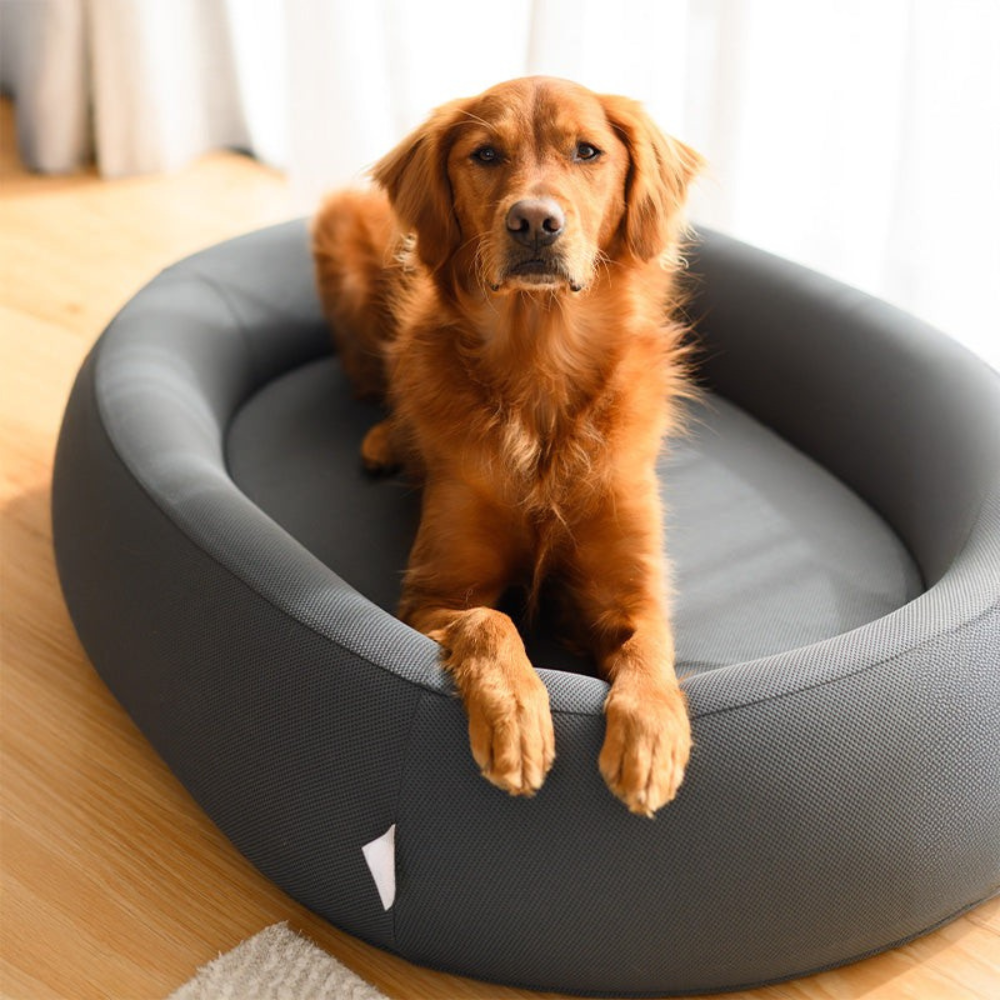 Dog Bed | Orthopaedic Memory Foam, Cooling Gel Technology