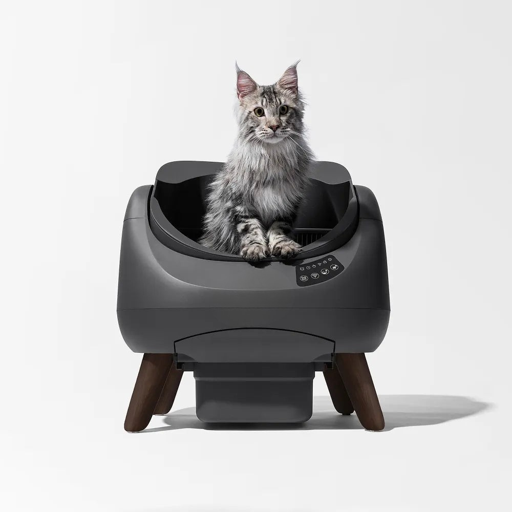 Open-X Self-Cleaning Litter Box | Automatic Open Cat Litter Box