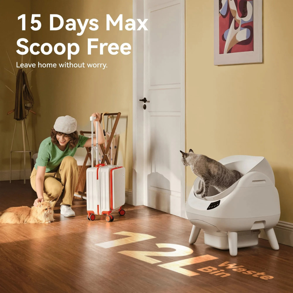 Open Self-Cleaning Litter Box for Multi-Cat Households – Automatic Waste Cleaning & Odor Control