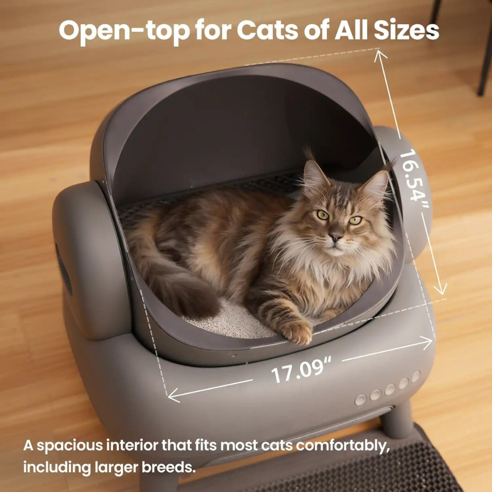 Open-Top Automatic Self-Cleaning Cat Litter Box