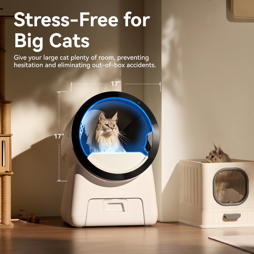 Self-Cleaning Cat Litter Box with Dual-Camera AI Vision & 12L Waste Bin