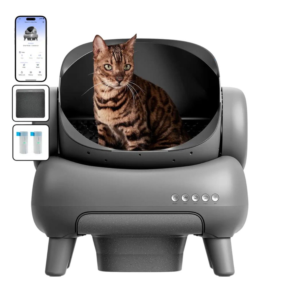 Open-Top Automatic Self-Cleaning Cat Litter Box
