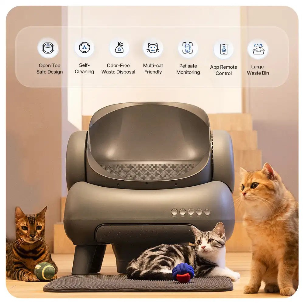 Open-Top Automatic Self-Cleaning Cat Litter Box