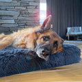Bed | Ultra Memory Foam Construction, Supportive Design 0