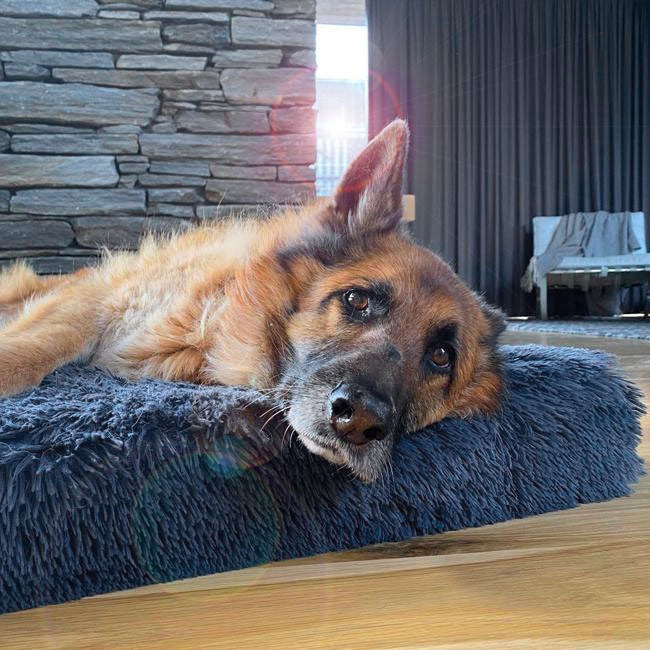 Bed | Ultra Memory Foam Construction, Supportive Design 0