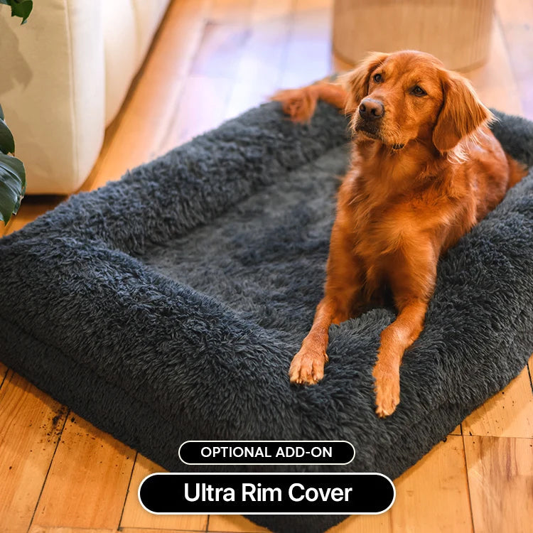 Bed | Ultra Memory Foam Construction, Supportive Design 1