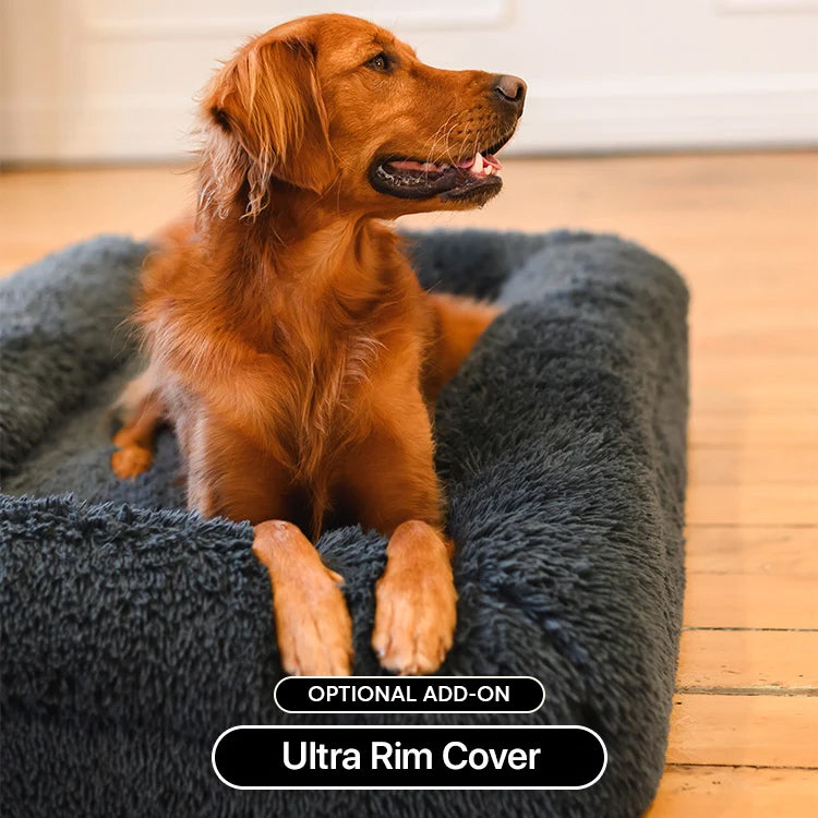 Bed | Ultra Memory Foam Construction, Supportive Design 2