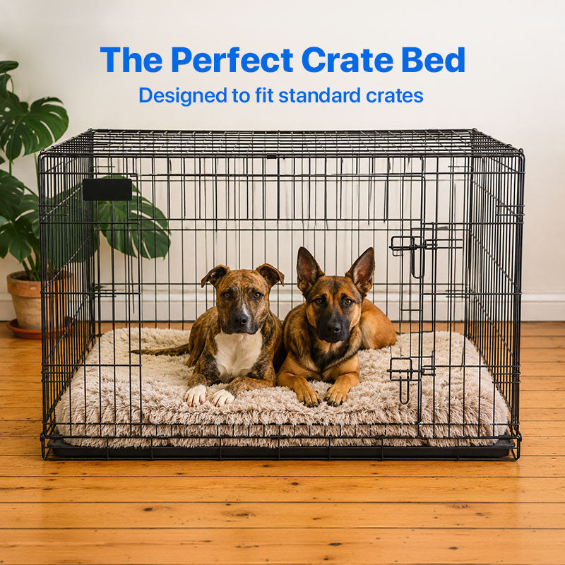 Bed | Ultra Memory Foam Construction, Supportive Design 5