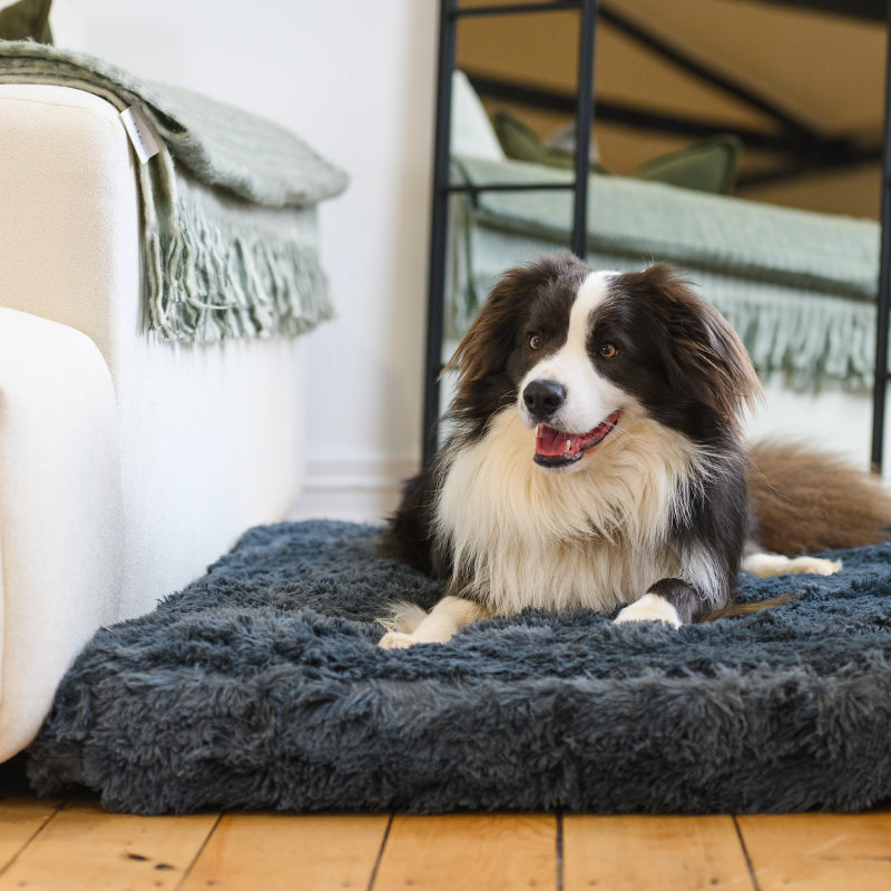 Bed | Ultra Memory Foam Construction, Supportive Design 7