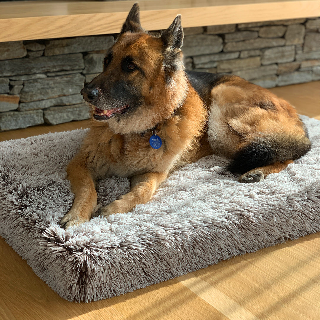 Bed | Ultra Memory Foam Construction, Supportive Design 9