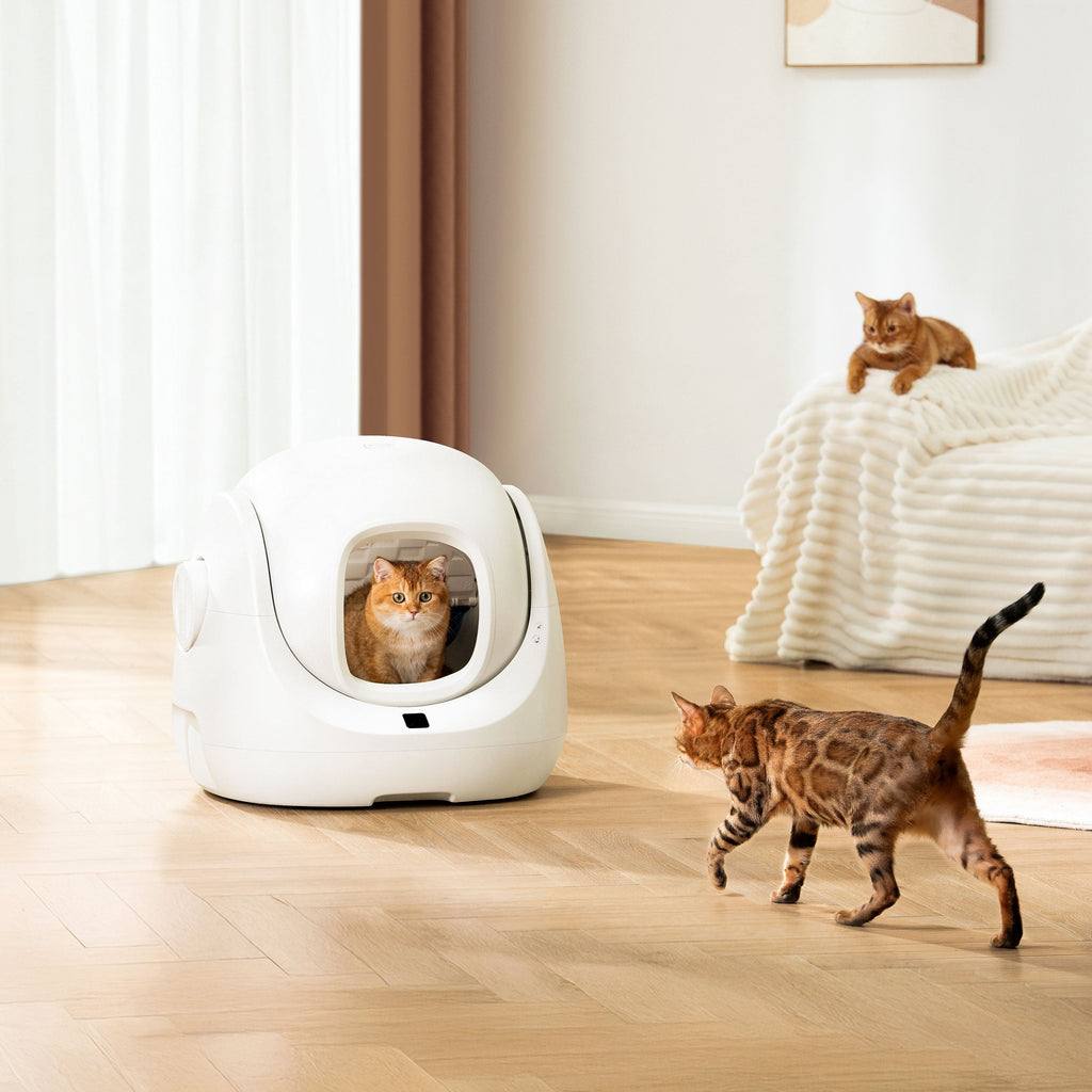 CATLINK Smart Self Cleaning Litter Box - Automatic Cat Litter Box with Health Monitoring & Odor Control 7