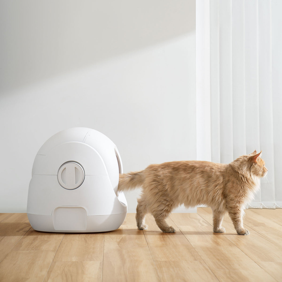 CATLINK Smart Self Cleaning Litter Box - Automatic Cat Litter Box with Health Monitoring & Odor Control 8