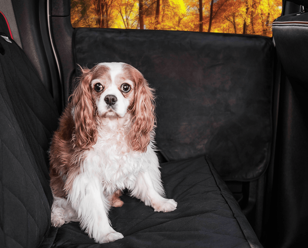 Car Door Protector | Waterproof Surface, Adjustable Fit 0