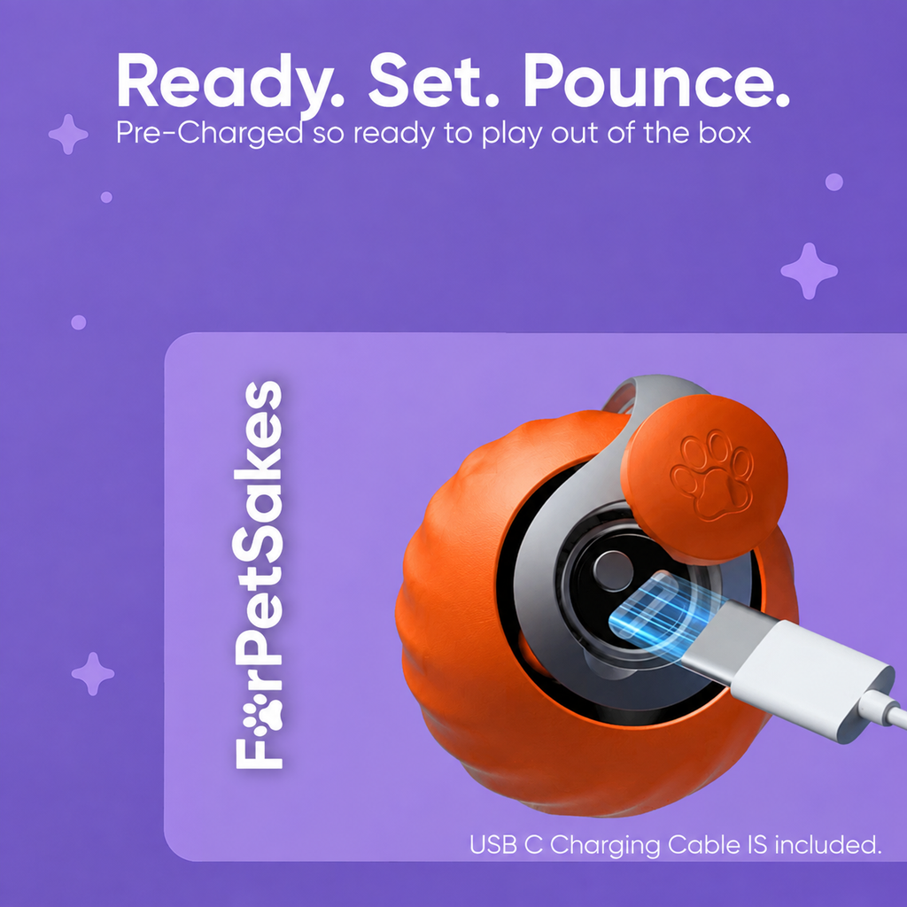 Cat Toy | Paw-Activated Interactive Ball