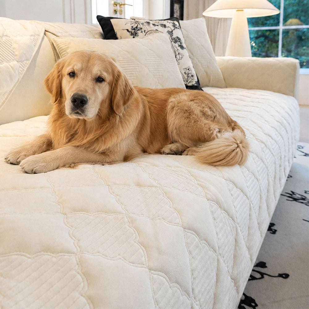 Couch Cover | Plush Velvet, Star-Pattern Quilted Non-Slip 1