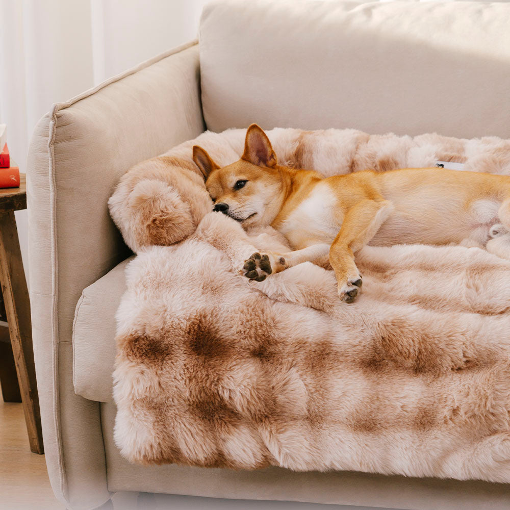 Dog Bed Mat | Fluffy Plush Texture, Non-Slip Bottom 5