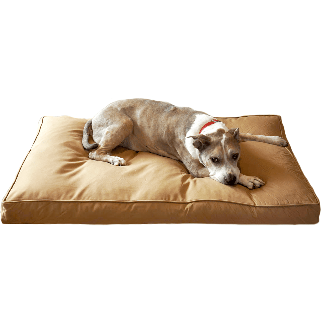 Dog Bed | Chew Resistant Cover, Orthopedic Foam Padding 0