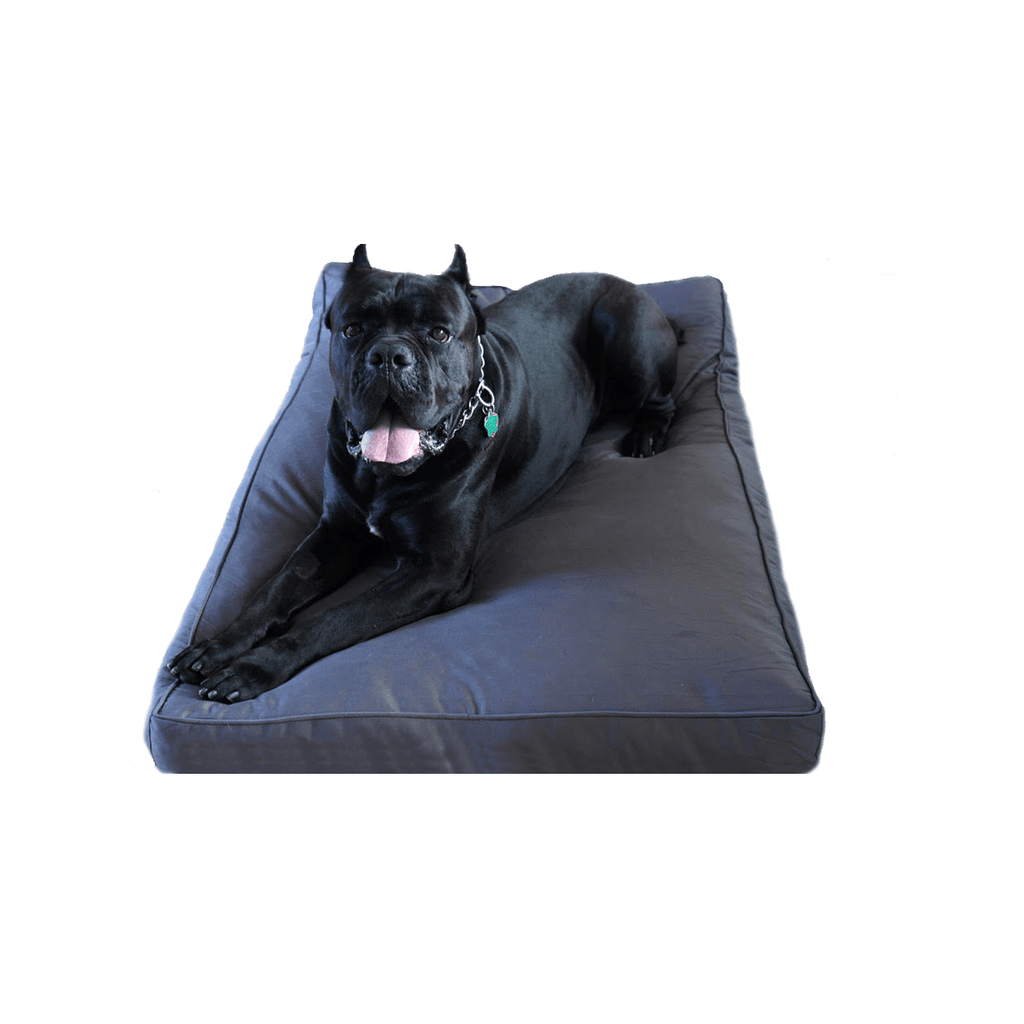 Dog Bed | Chew Resistant Cover, Orthopedic Foam Padding 1