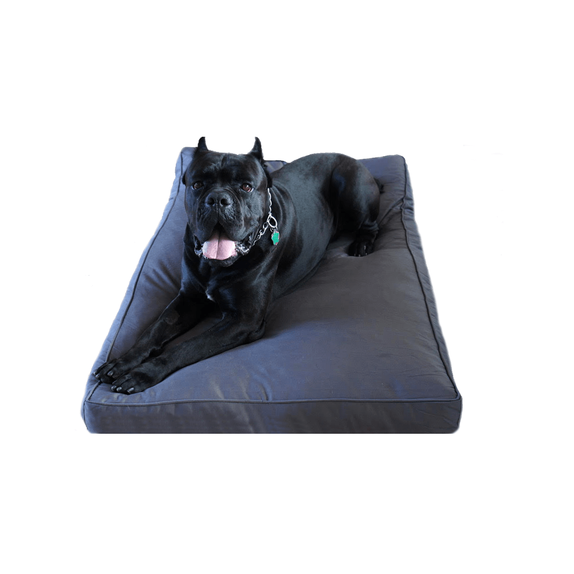 Dog Bed | Chew Resistant Cover, Orthopedic Foam Padding 1