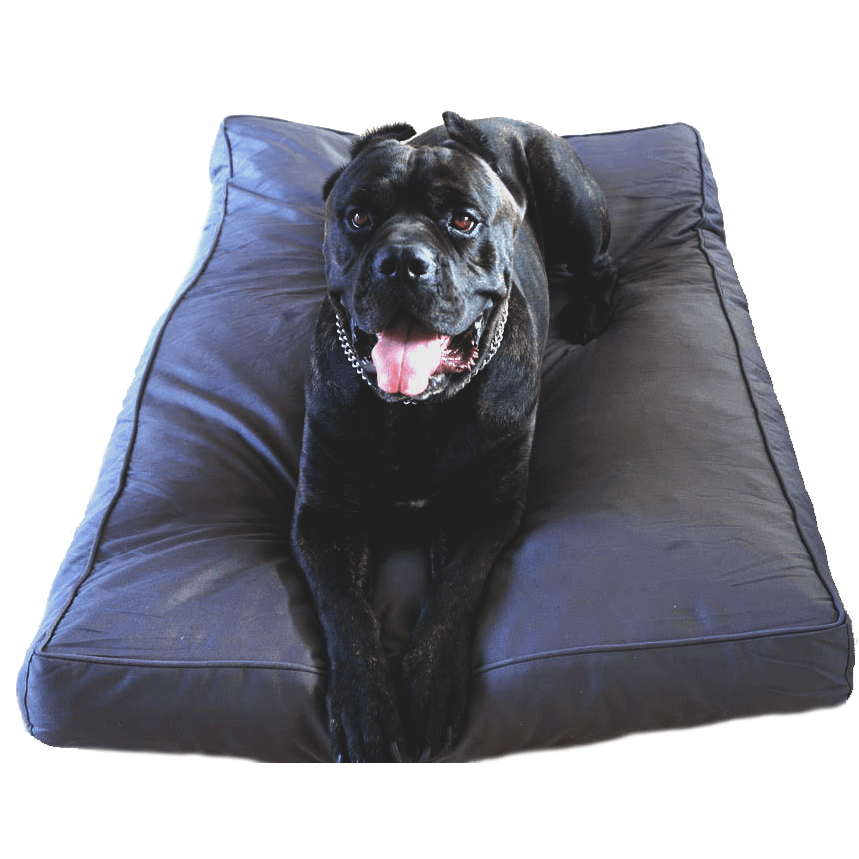 Dog Bed | Chew Resistant Cover, Orthopedic Foam Padding 2
