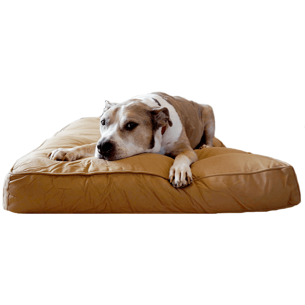 Dog Bed | Chew Resistant Cover, Orthopedic Foam Padding 3