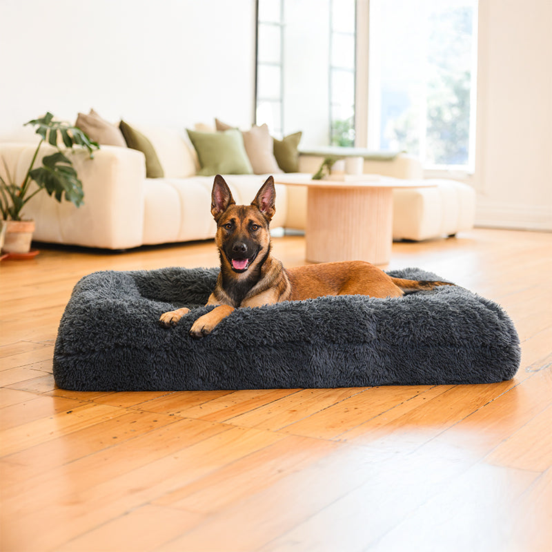 Dog Bed | Memory Foam Base, Bolster Rim Design 0