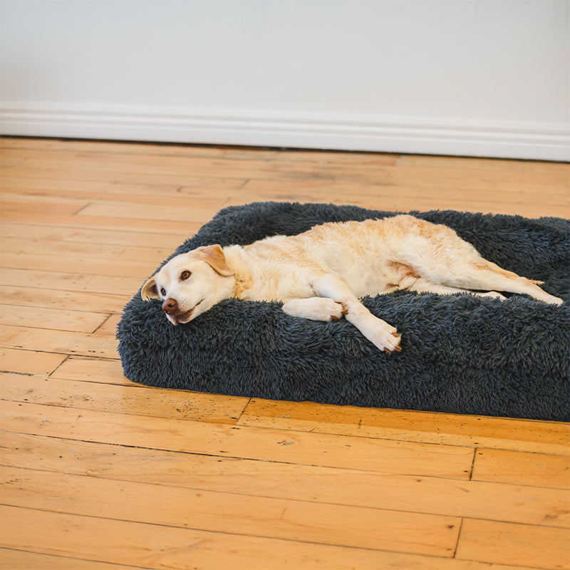 Dog Bed | Memory Foam Base, Bolster Rim Design 7