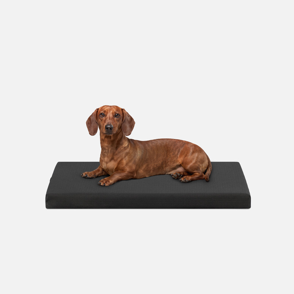 Dog Bed | Orthopedic Foam, Durable Ripstop Cover 0