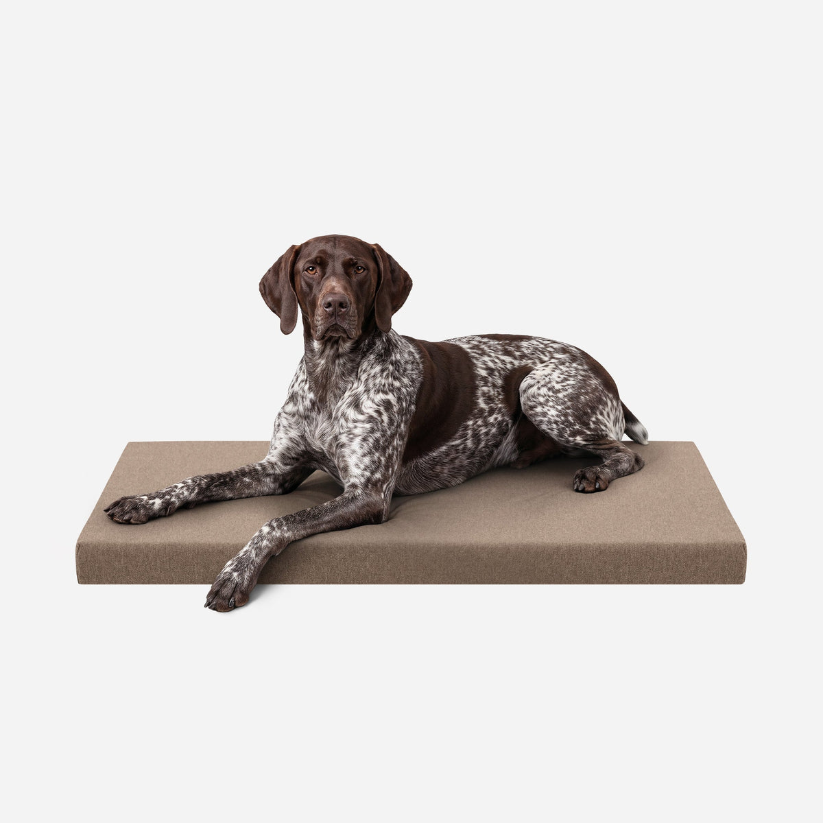 Dog Bed | Orthopedic Foam, Durable Ripstop Cover 1