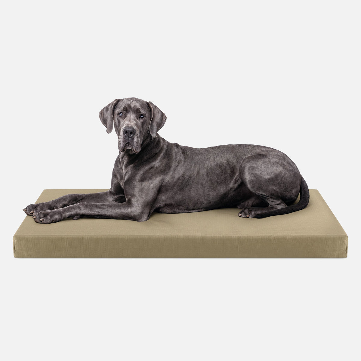 Dog Bed | Orthopedic Foam, Durable Ripstop Cover 11