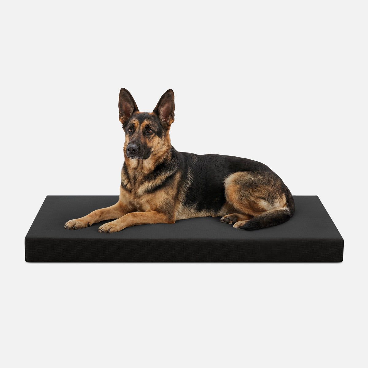 Dog Bed | Orthopedic Foam, Durable Ripstop Cover 12