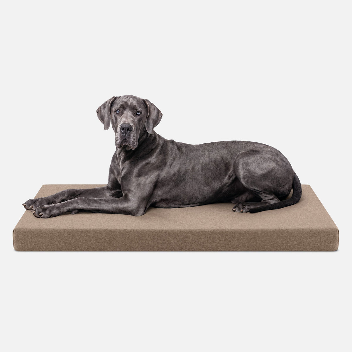 Dog Bed | Orthopedic Foam, Durable Ripstop Cover 13