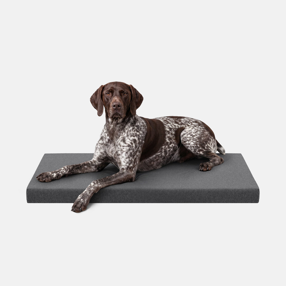 Dog Bed | Orthopedic Foam, Durable Ripstop Cover 14
