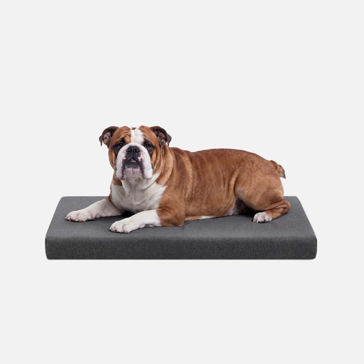 Dog Bed | Orthopedic Foam, Durable Ripstop Cover 15