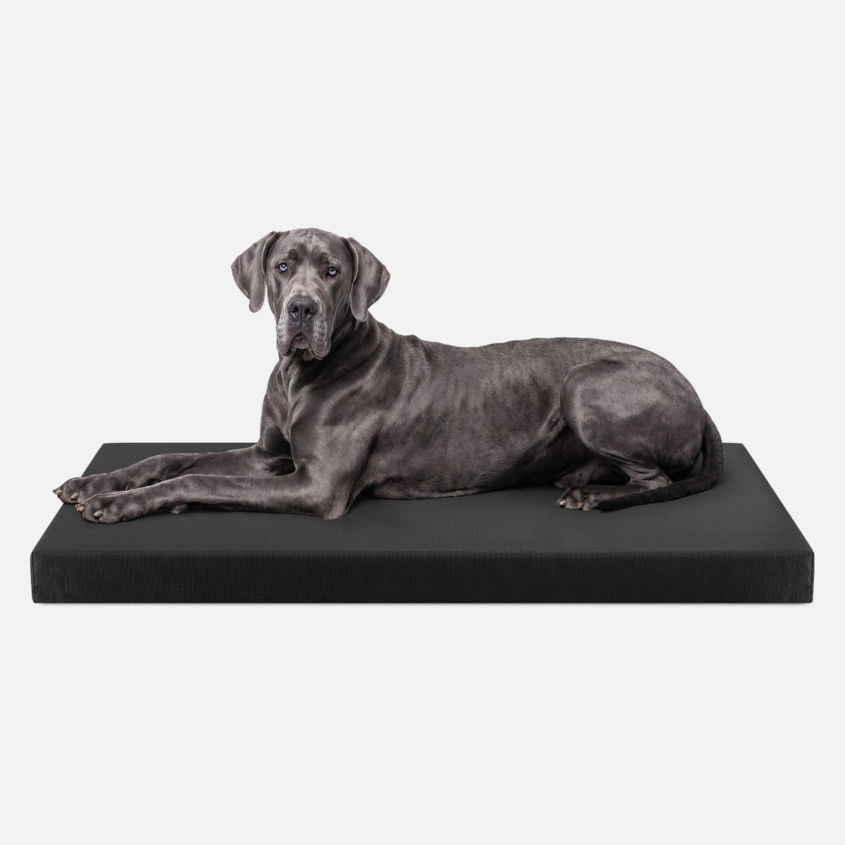 Dog Bed | Orthopedic Foam, Durable Ripstop Cover 16