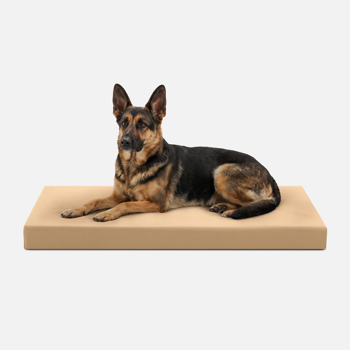 Dog Bed | Orthopedic Foam, Durable Ripstop Cover 17
