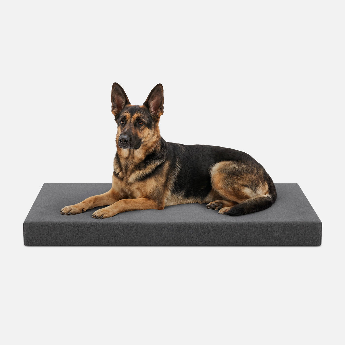 Dog Bed | Orthopedic Foam, Durable Ripstop Cover 18