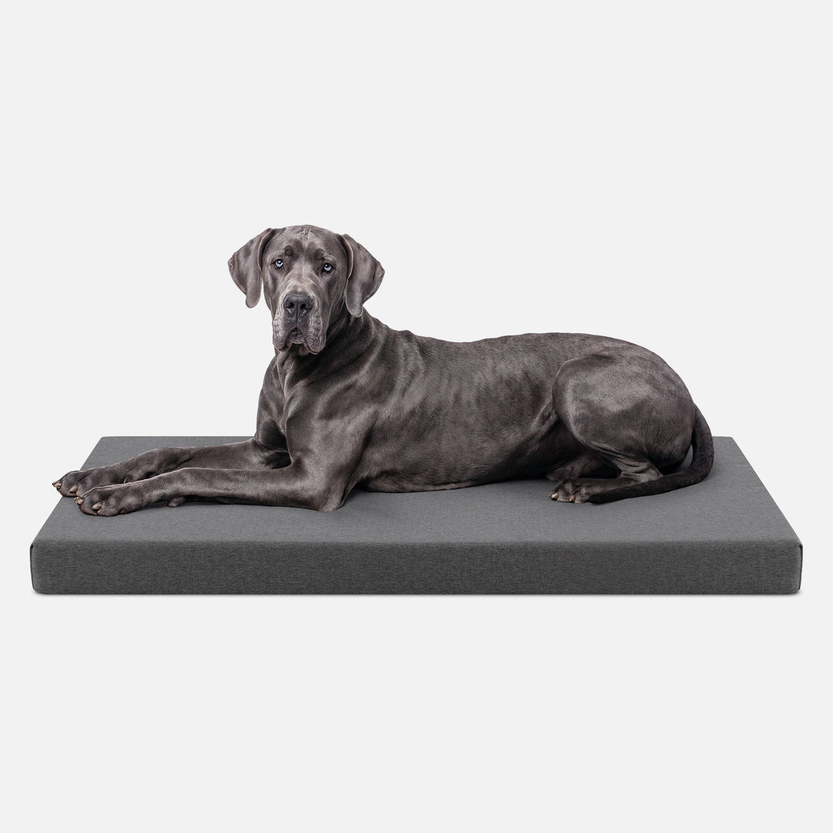 Dog Bed | Orthopedic Foam, Durable Ripstop Cover 19