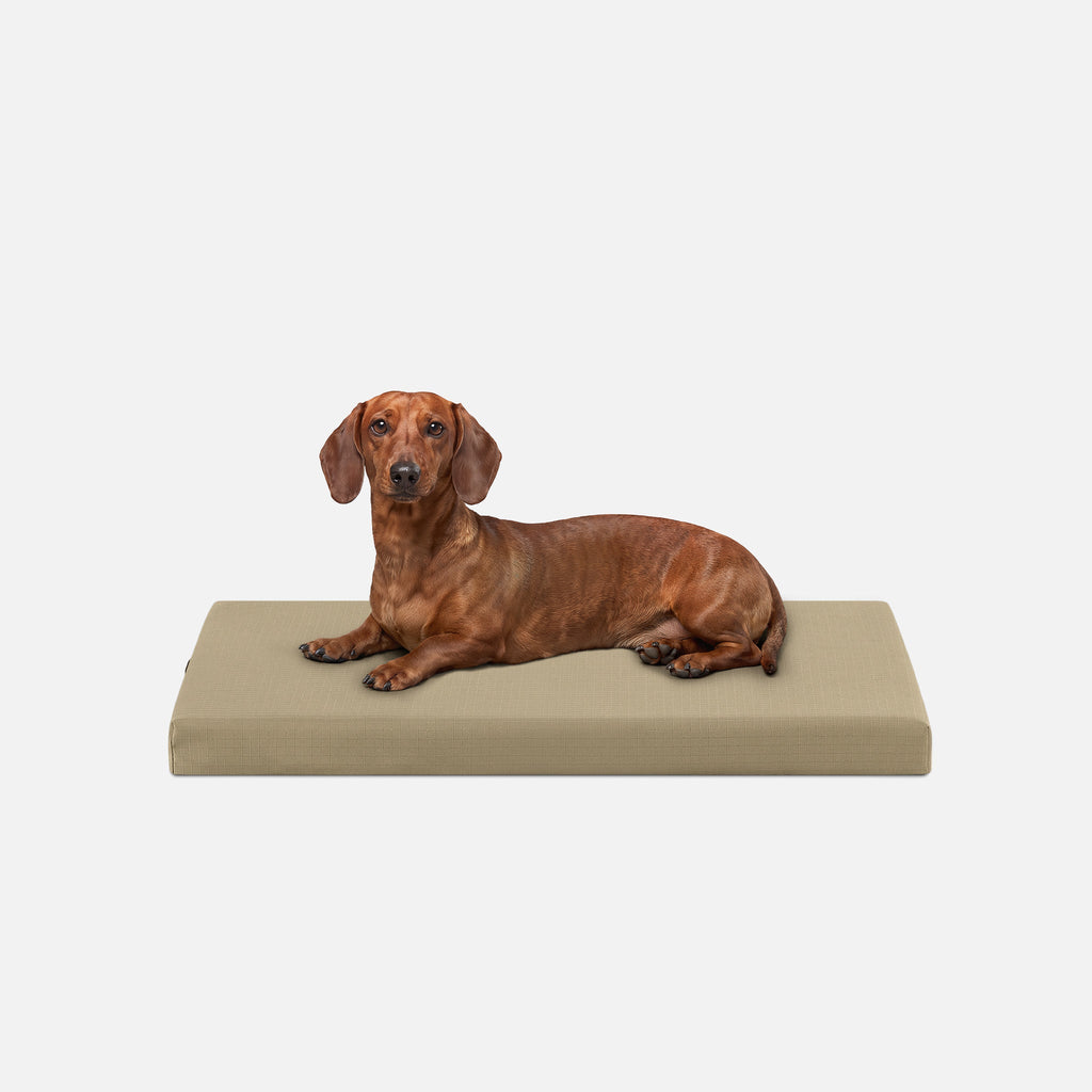 Dog Bed | Orthopedic Foam, Durable Ripstop Cover 2