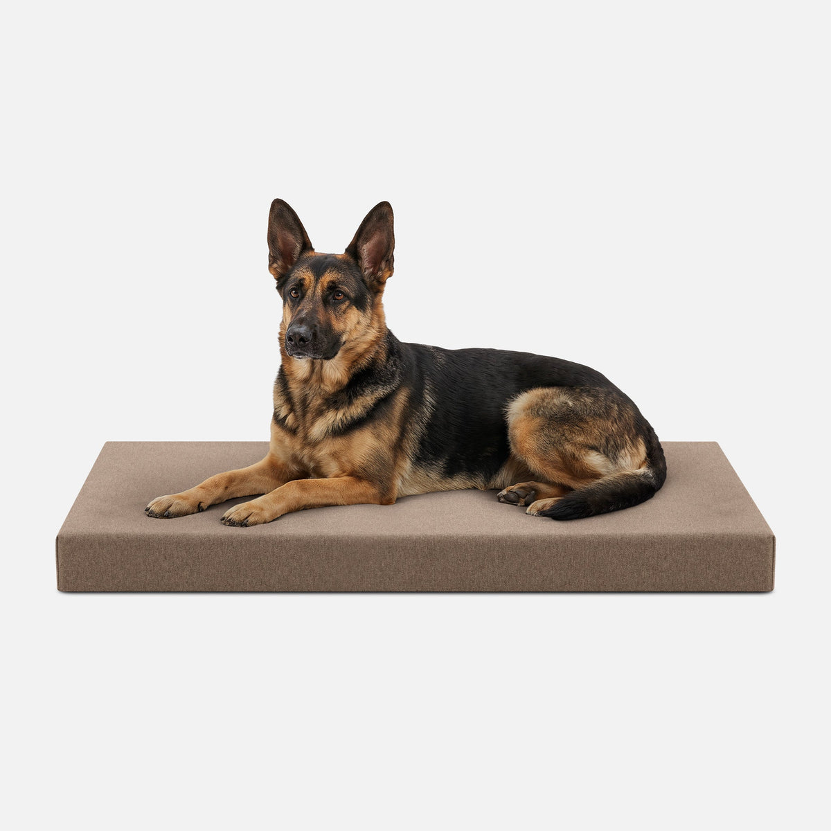Dog Bed | Orthopedic Foam, Durable Ripstop Cover 20