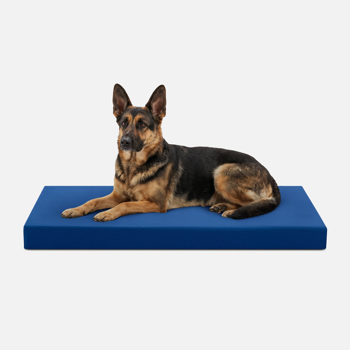 Dog Bed | Orthopedic Foam, Durable Ripstop Cover 22