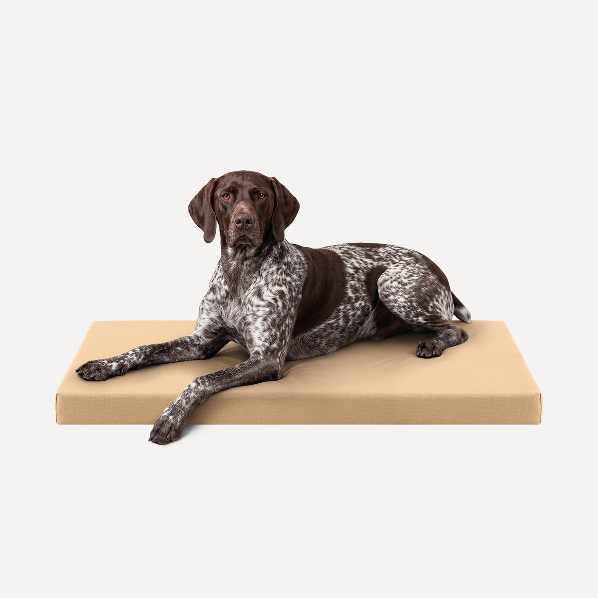 Dog Bed | Orthopedic Foam, Durable Ripstop Cover 23
