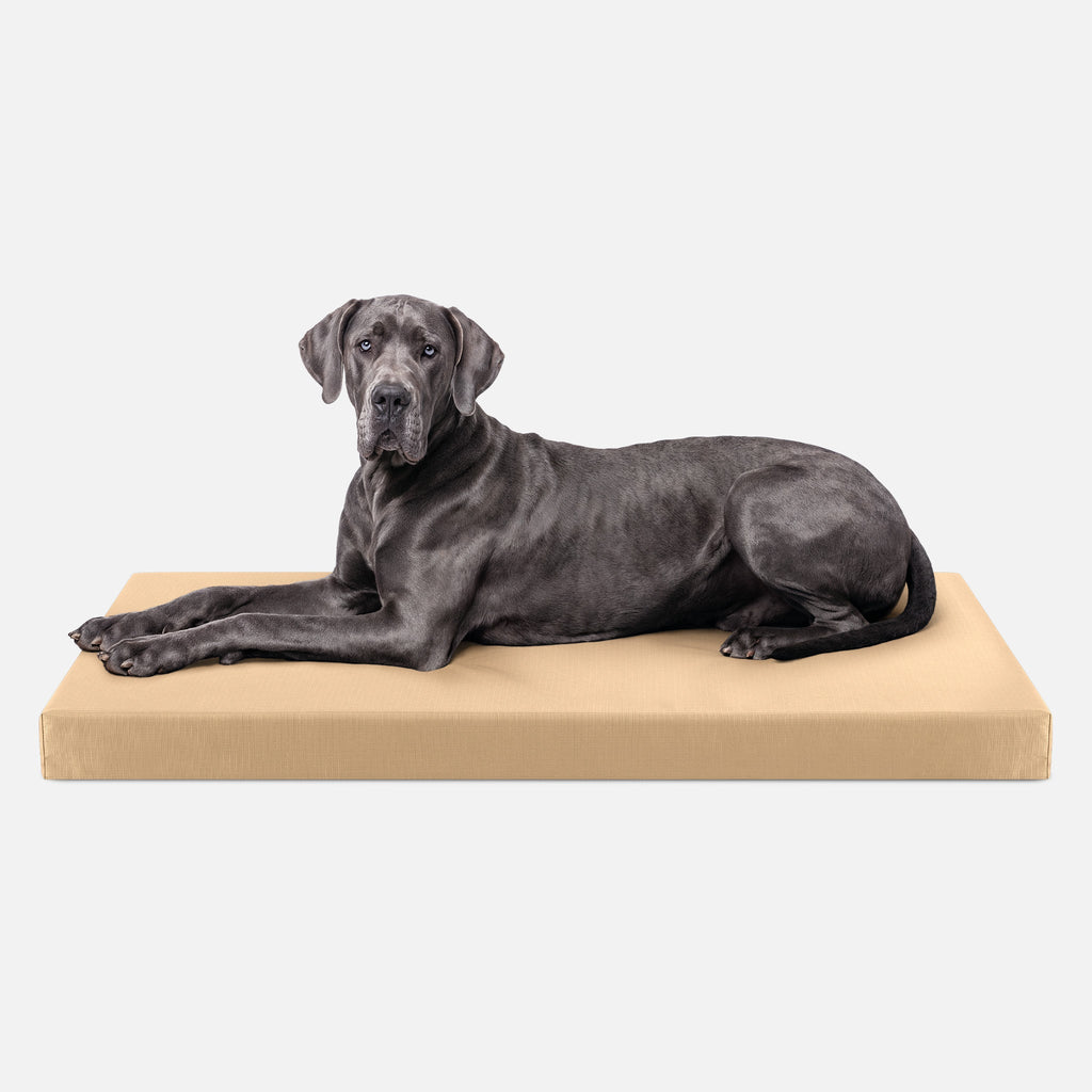 Dog Bed | Orthopedic Foam, Durable Ripstop Cover 24