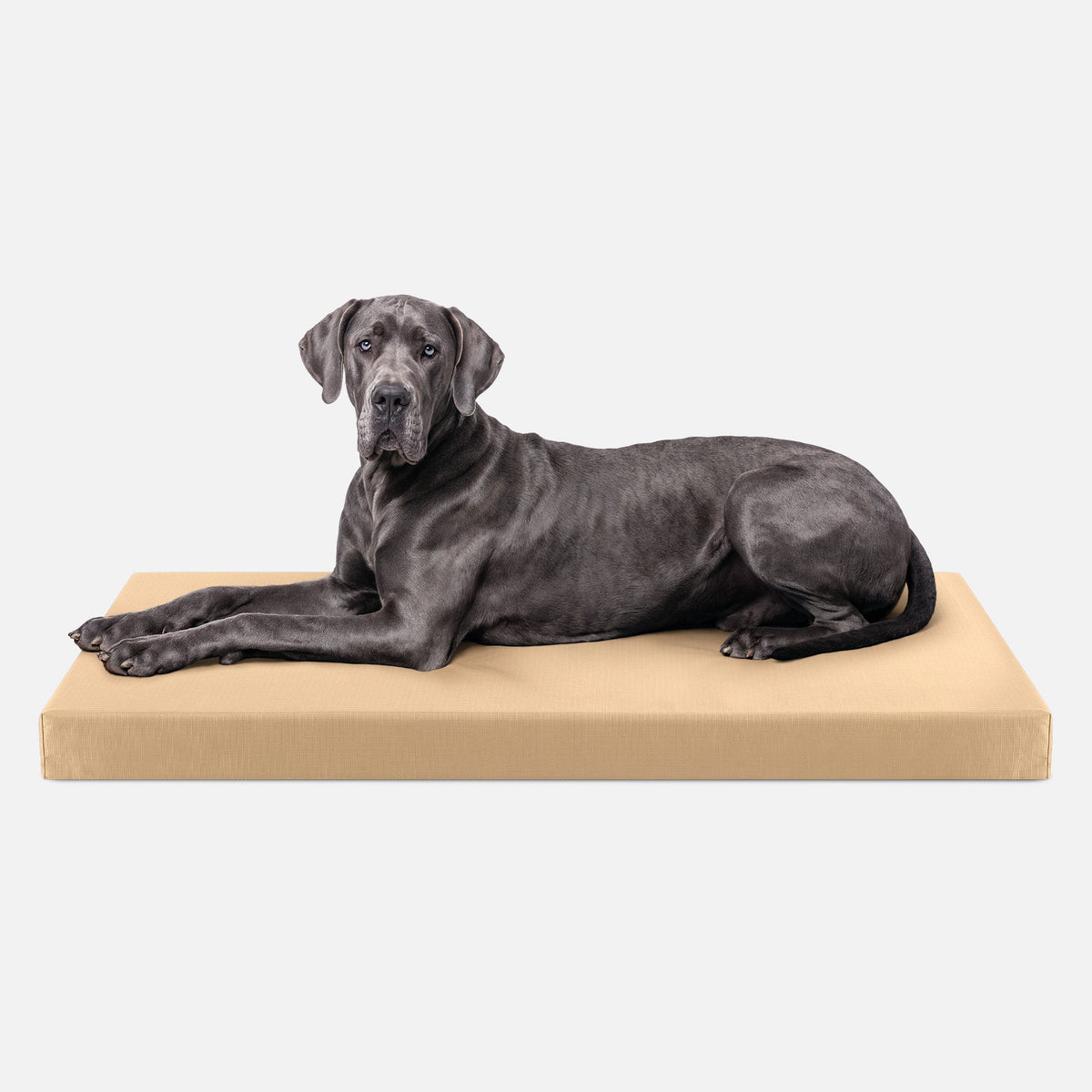 Dog Bed | Orthopedic Foam, Durable Ripstop Cover 24